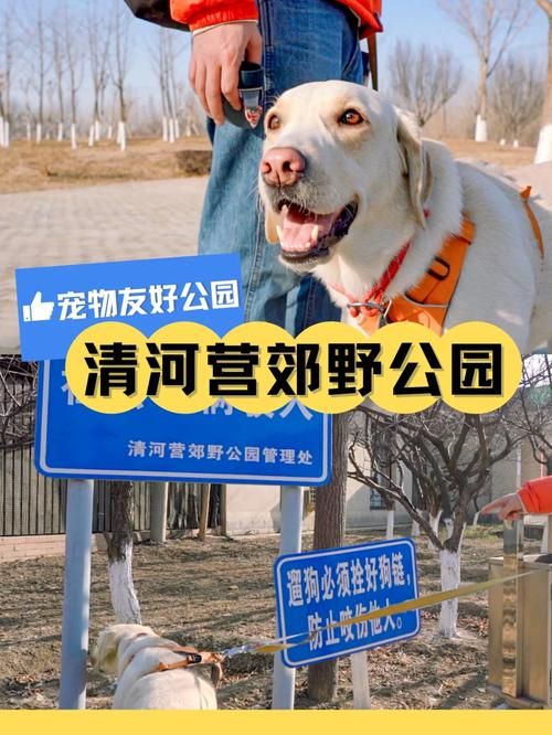 夏日小公园的厕所安卓汉化版下载安装教程分享