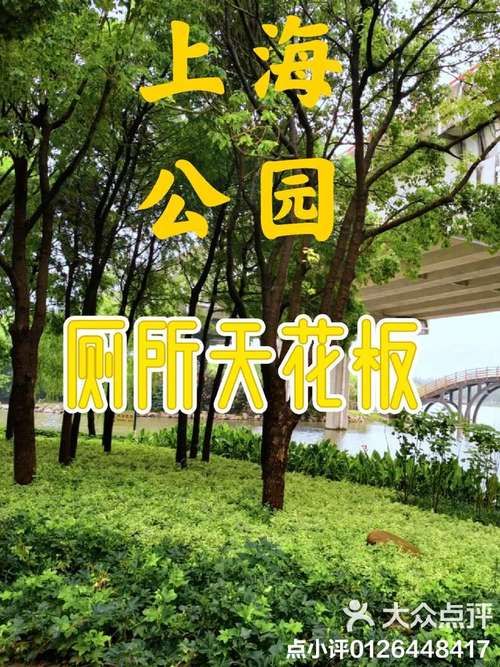 夏日小公园的厕所官方网站设施介绍与清洁标准