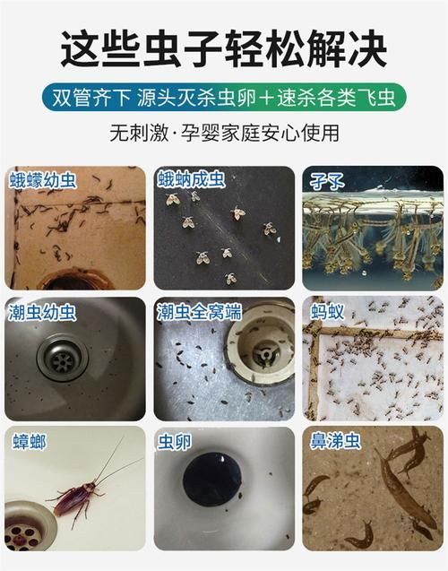 夏日小公园的厕所最新清洁维护小贴士