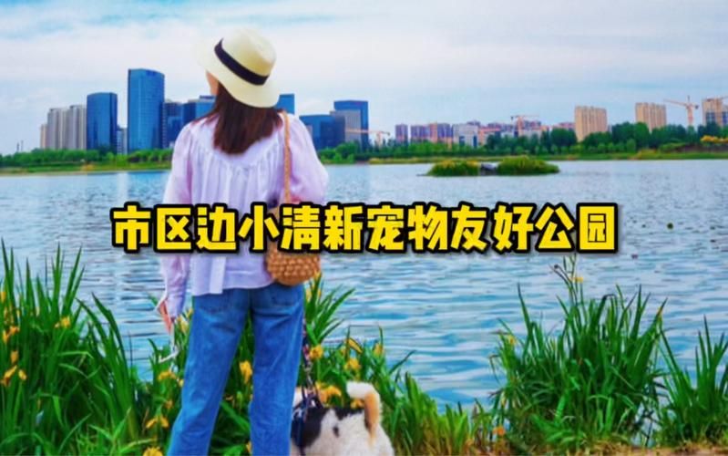 夏日小公园的厕所汉化版最新更新内容一览