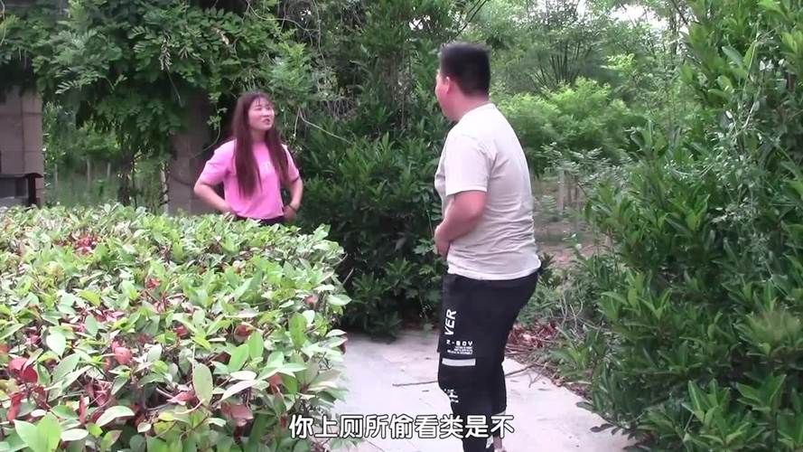 夏日小公园的厕所汉化版最新更新内容一览