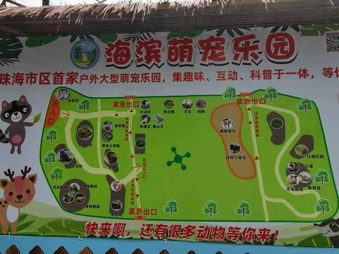 夏日小公园的厕所游戏介绍 小朋友最爱玩的户外小游戏