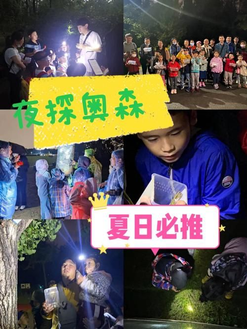夏日小公园的厕所游戏官网常见问题解答
