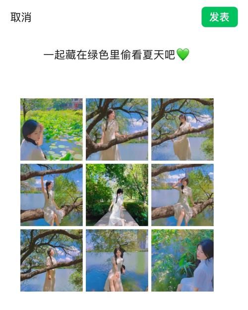 夏日小公园的厕所游戏官网常见问题解答