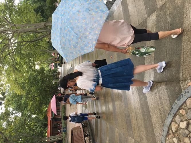 夏日小公园的厕所游戏官网常见问题解答