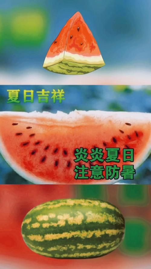 夏日炎炎最新版本是多少 如何升级到最新版本