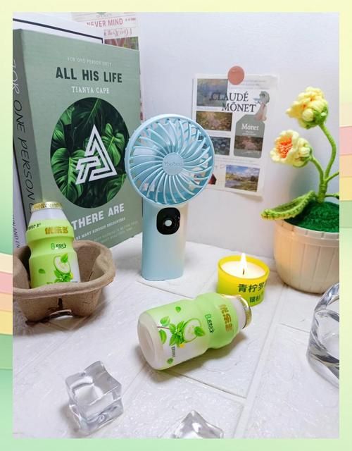 夏日炎炎最新版本评测 这个夏天必备的降温神器