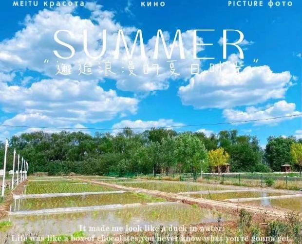 夏日炎炎汉化版下载地址 最新中文版免费获取