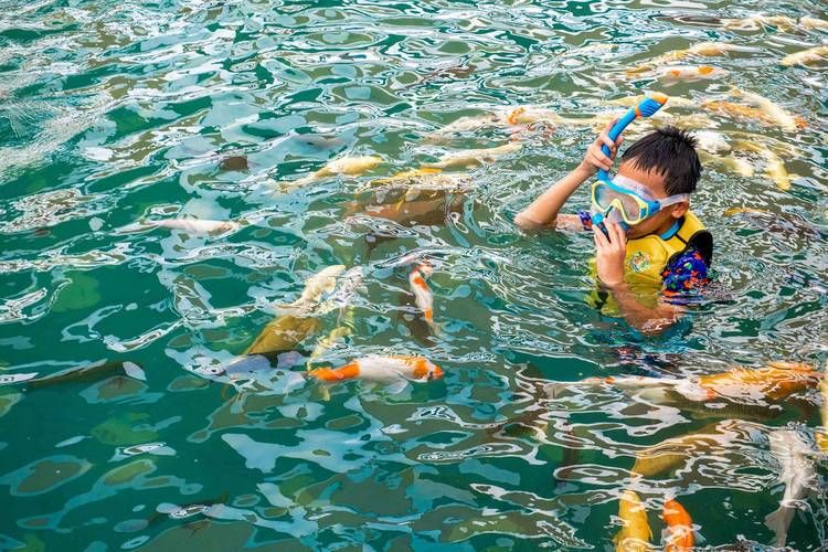 夏日狂欢在哪下载 手把手教你如何安装体验