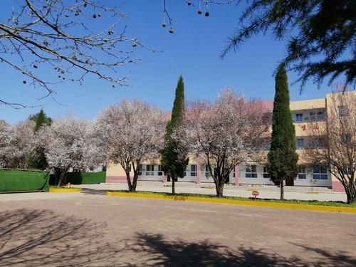 夏日甜蜜回忆绅士游戏合集 重温经典恋爱故事 夏日甜蜜回忆绅士游戏合集 重温经典恋爱故事