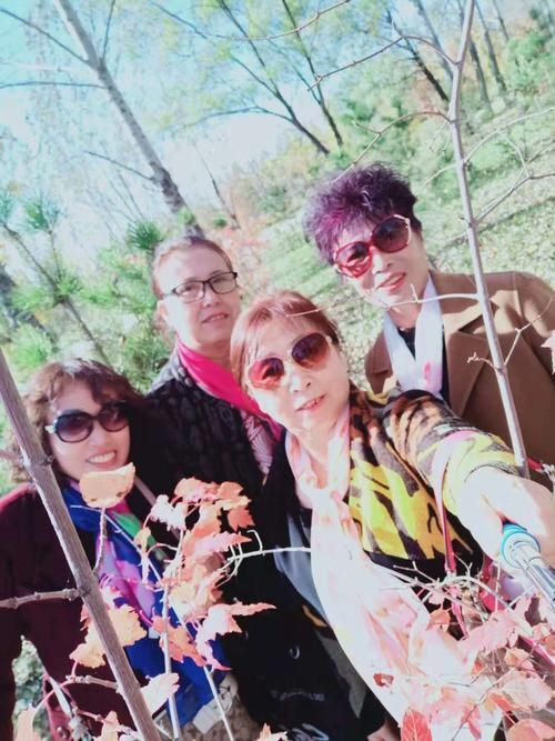 夏日的甜蜜回忆安卓安装教程 轻松畅玩怀旧游戏