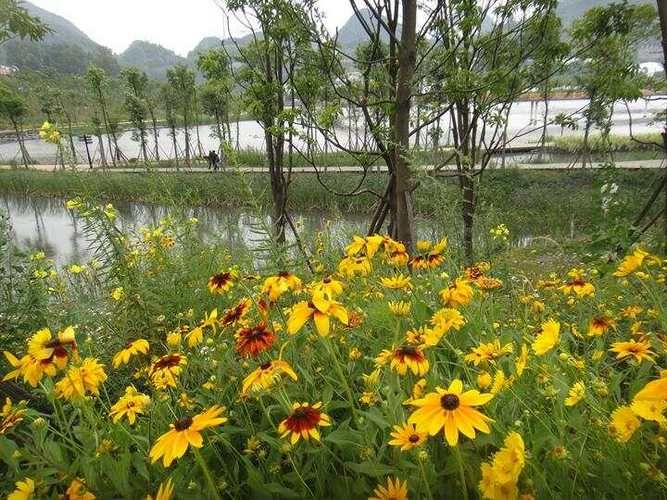 夏日芬芳在哪下载 手把手教你快速安装