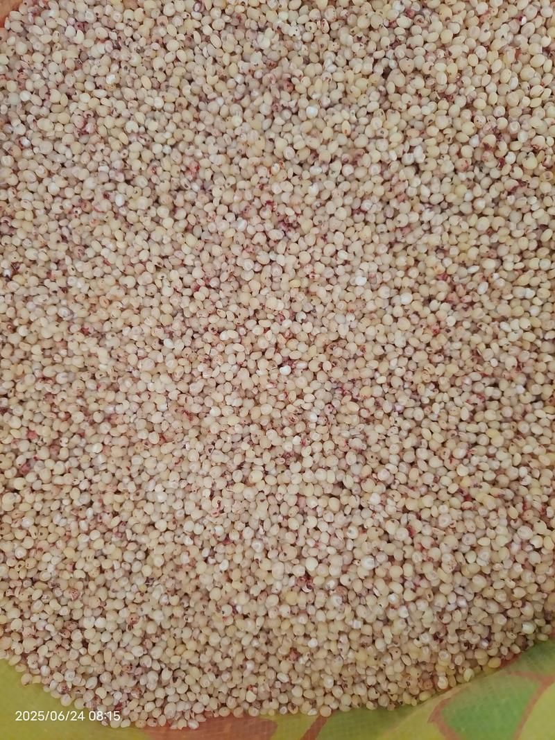 夏日芬芳在哪下载 手把手教你快速安装 夏日芬芳在哪下载 手把手教你快速安装