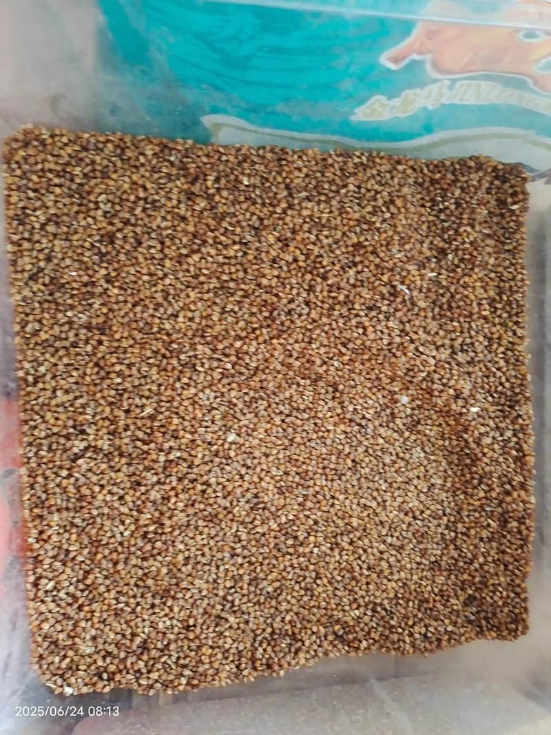 夏日芬芳在哪下载 手把手教你快速安装 夏日芬芳在哪下载 手把手教你快速安装