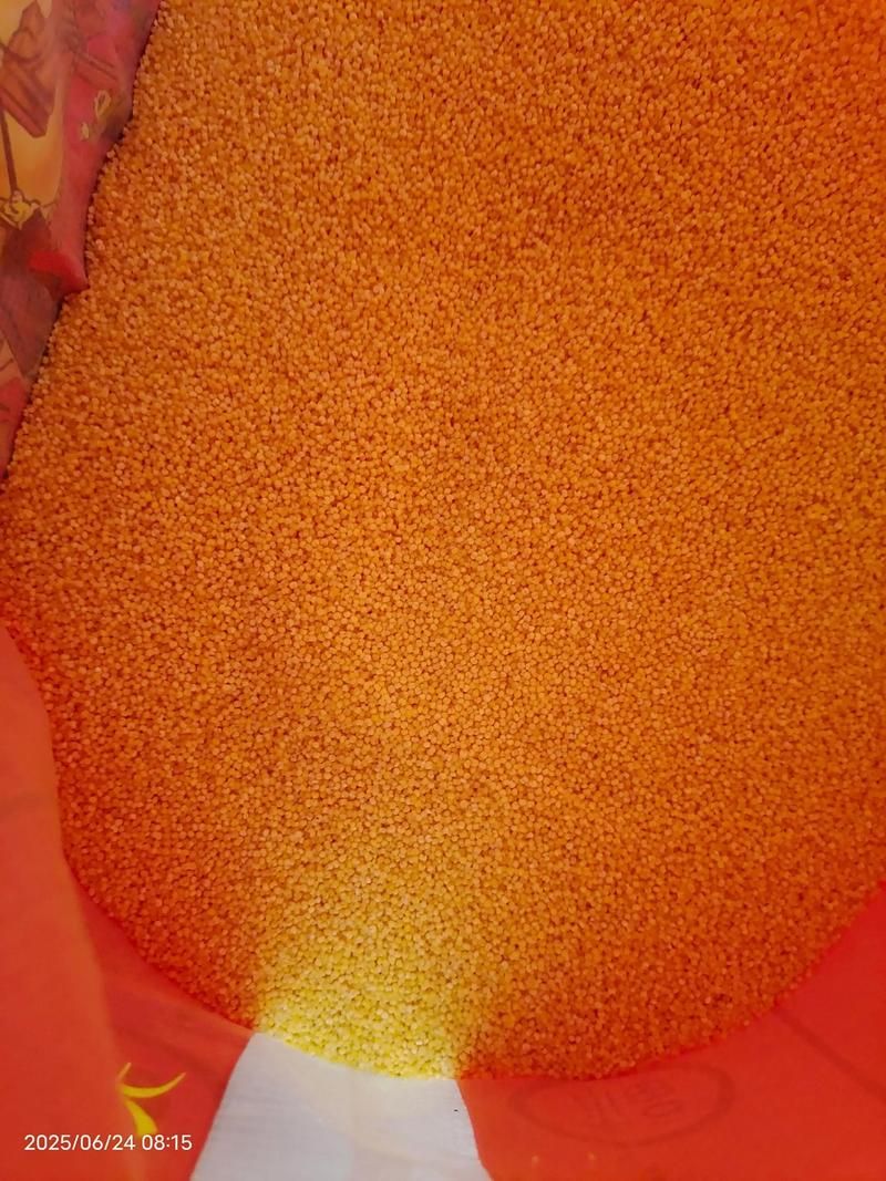 夏日芬芳官方正式版下载最新版体验评测报告