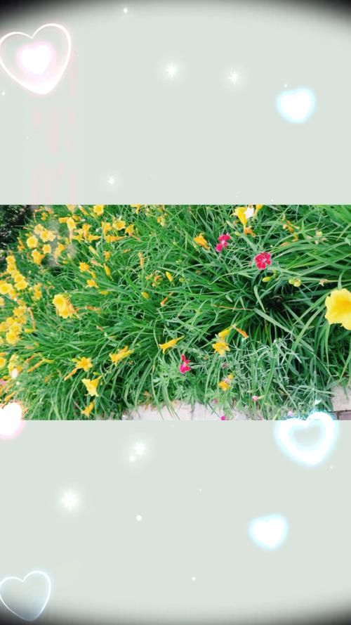 夏日芬芳官方正式版下载最新版体验评测报告 夏日芬芳官方正式版下载最新版体验评测报告