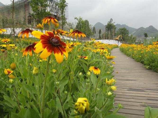 夏日芬芳官方正式版下载最新版体验评测报告 夏日芬芳官方正式版下载最新版体验评测报告