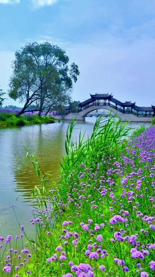 夏日芬芳最新旅游胜地 花香四溢的避暑好去处