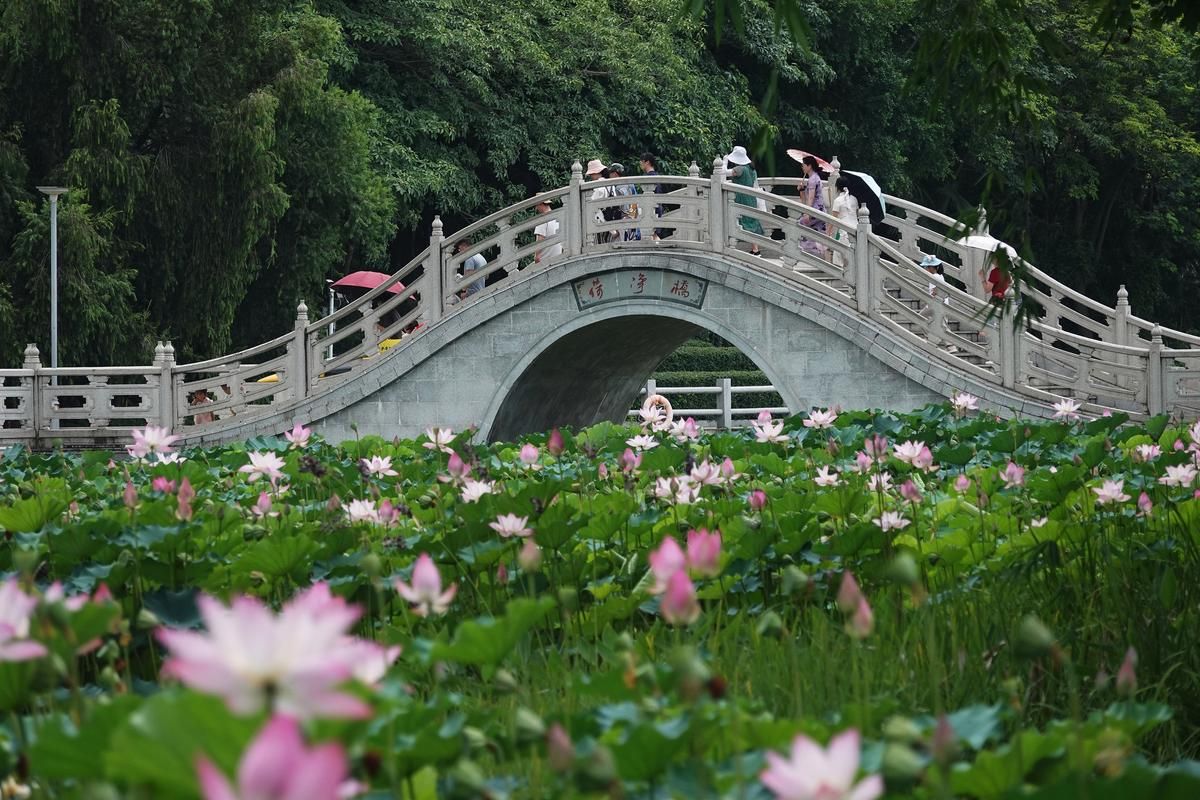 夏日芬芳最新旅游胜地 花香四溢的避暑好去处