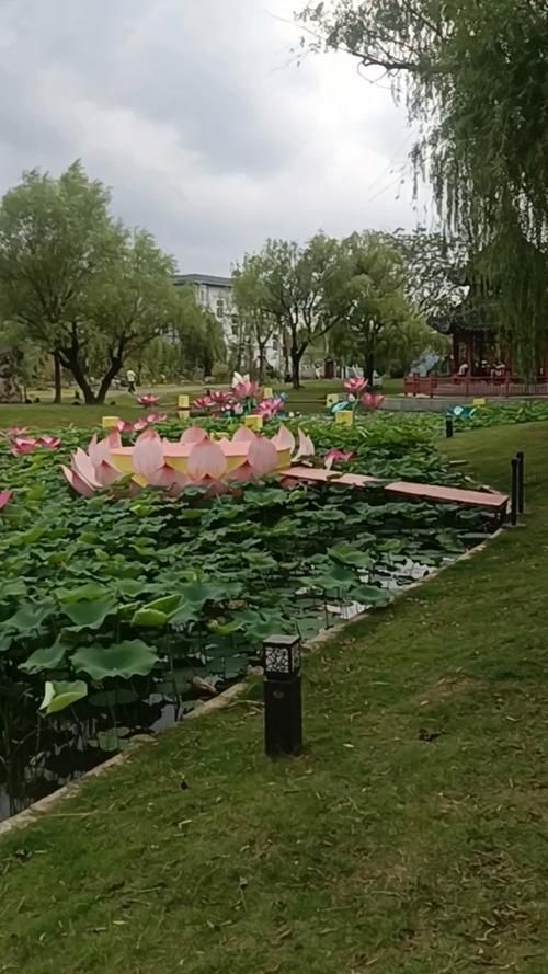夏日芬芳最新旅游胜地 花香四溢的避暑好去处