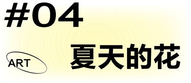 夏日芬芳游戏下载常见问题 解决卡顿闪退问题