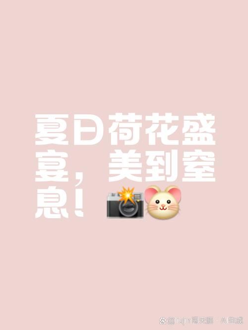 夏日芬芳游戏下载常见问题 解决卡顿闪退问题