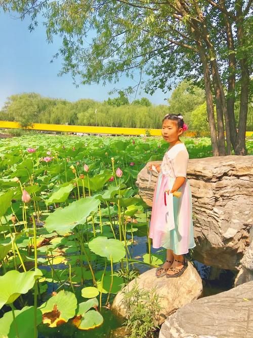 夏日芬芳游戏介绍带你体验清新夏日冒险之旅