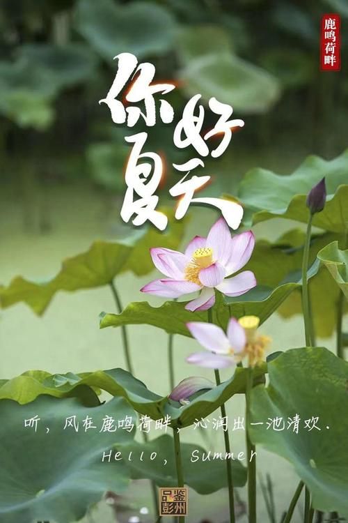 夏日芬芳版本大全来了 这些版本你都知道吗