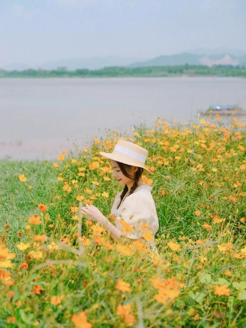 夏日芬芳版本大全来了 这些版本你都知道吗