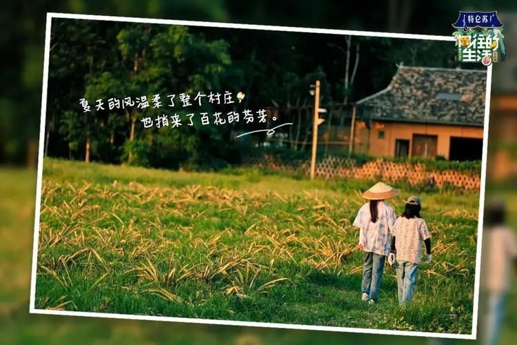 夏日芬芳版本大全来了 这些版本你都知道吗