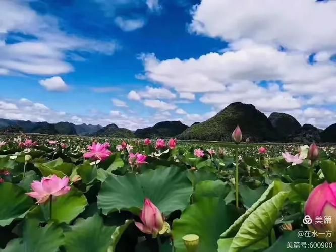 夏日风情下载地址分享 最新夏日主题资源一键获取