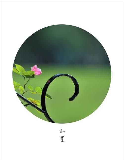 夏日风情如何下载 轻松获取夏日主题资源教程