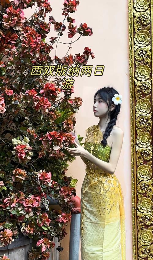 夏日风情如何下载 轻松获取夏日主题资源教程