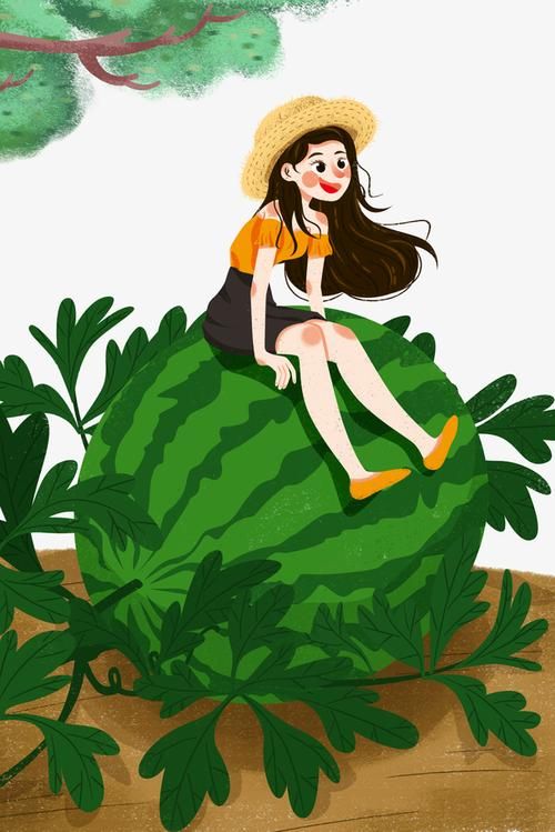 夏日风情如何下载 轻松获取夏日主题资源教程