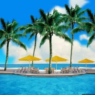 夏日风情如何下载 轻松获取夏日主题资源教程