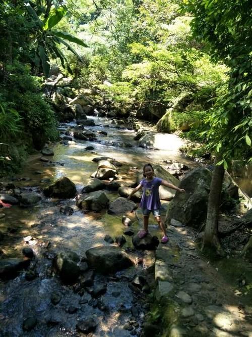 夏日风情如何下载 轻松获取夏日主题资源教程