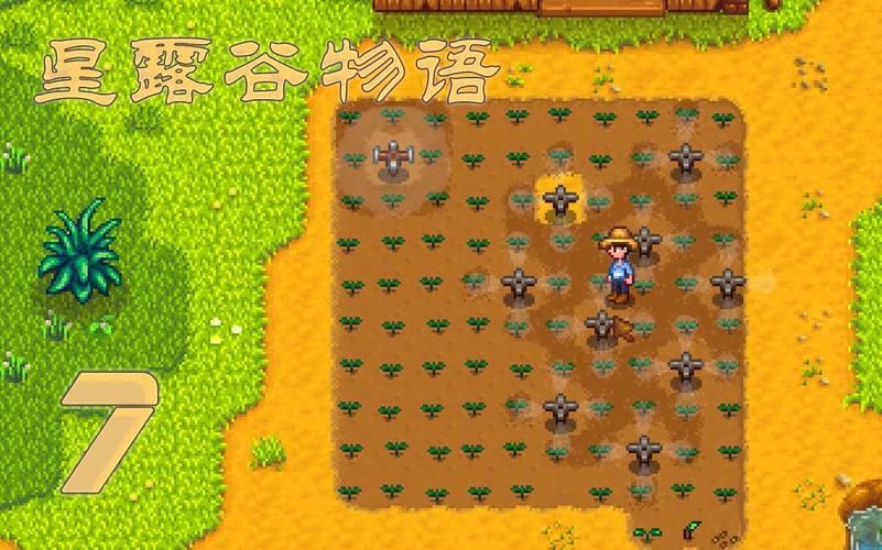 夏日风情安卓汉化版下载 轻松体验夏日浪漫游戏