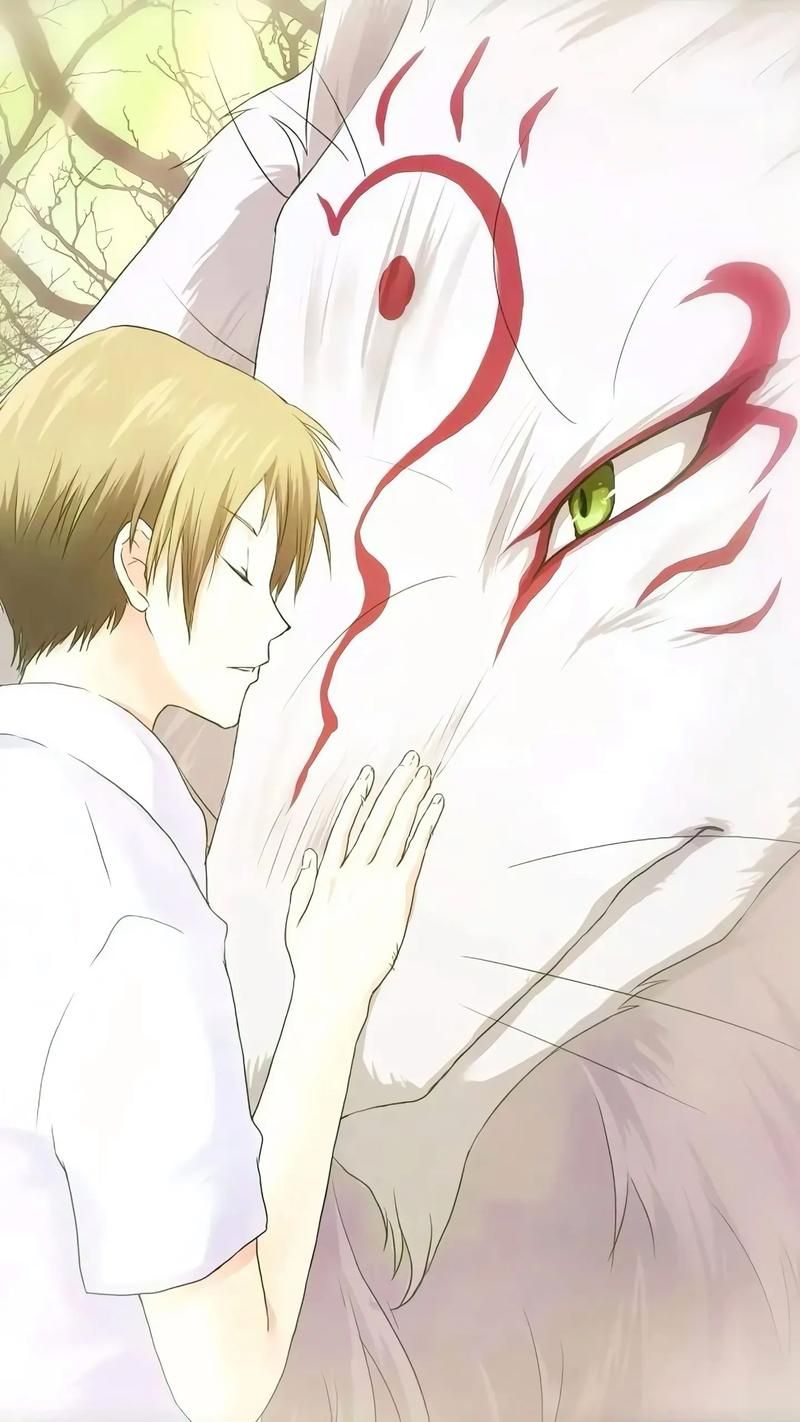 夏目友人帐版本大全 经典动画全系列版本解析