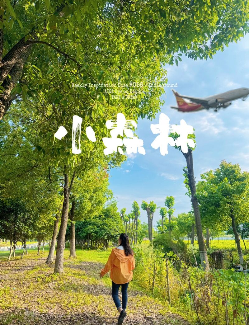 夏色四叶草如何下载 电脑手机双平台安装指南