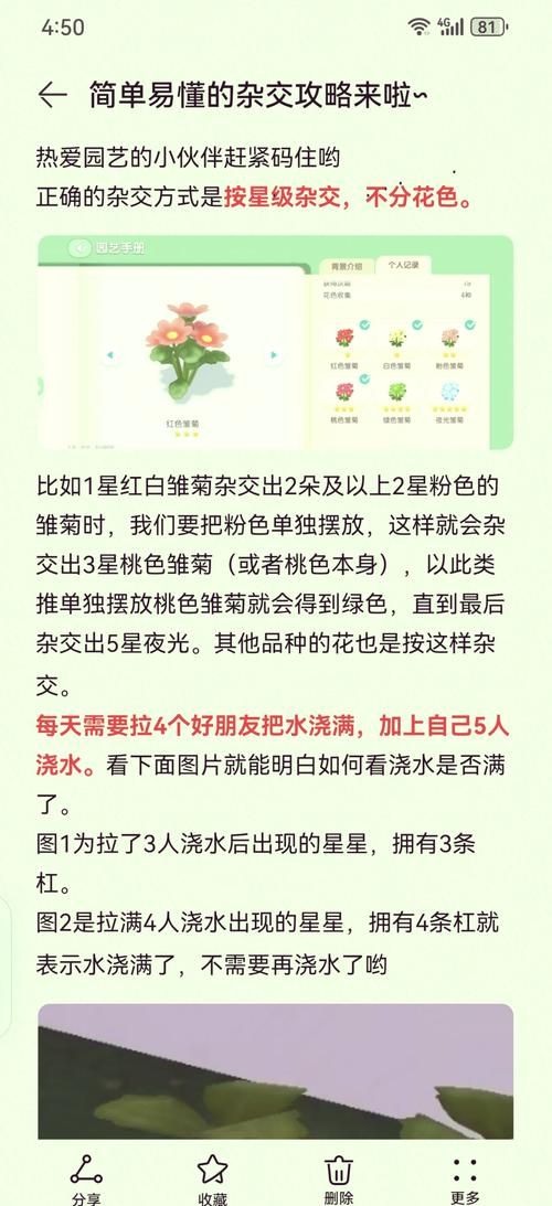 夏色四叶草游戏攻略指南 快速升级方法详解