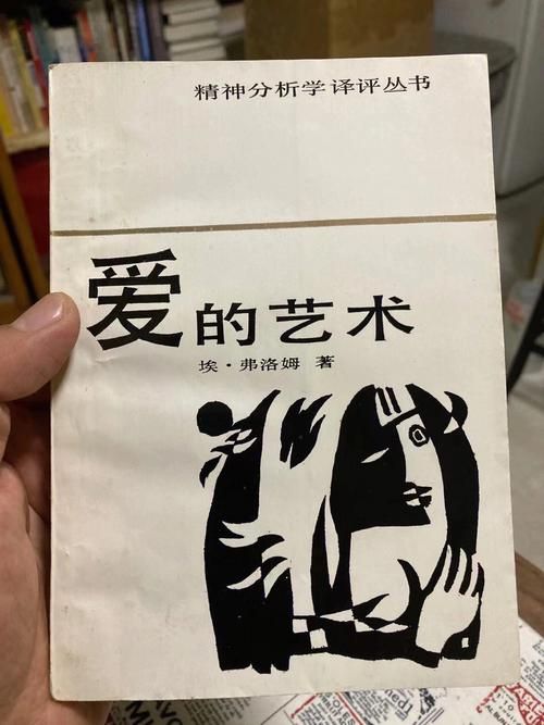 外交与爱的艺术安卓汉化最新版 中文翻译质量实测评价