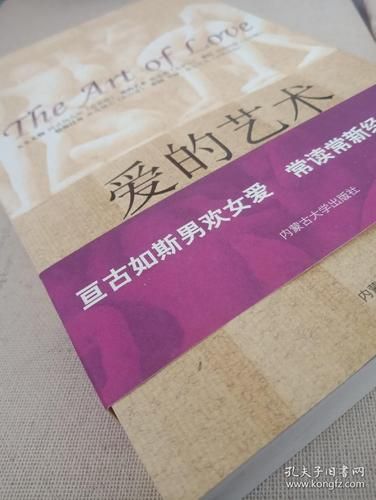 外交与爱的艺术安卓汉化最新版 中文翻译质量实测评价