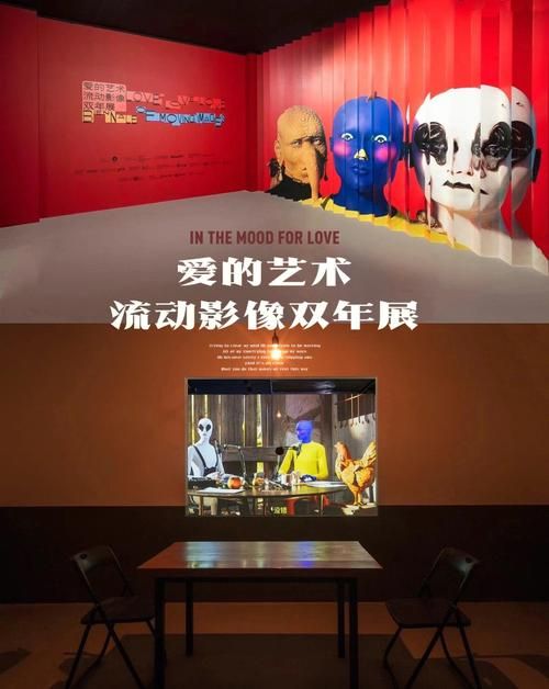 外交与爱的艺术官方网站助你提升人际关系