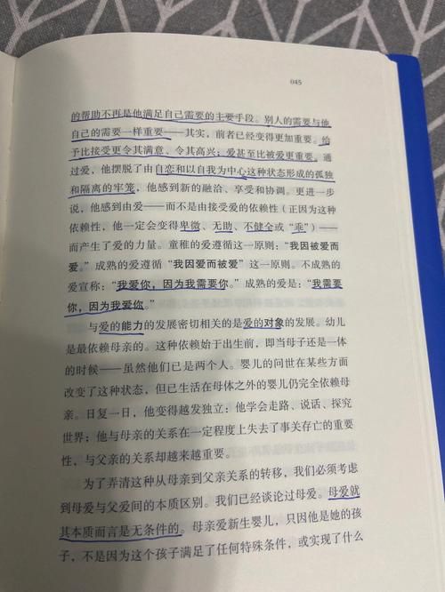 外交与爱的艺术官方网站助你提升人际关系