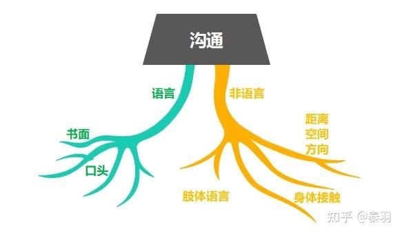 外交与爱的艺术官网分享高效沟通与情感管理方法