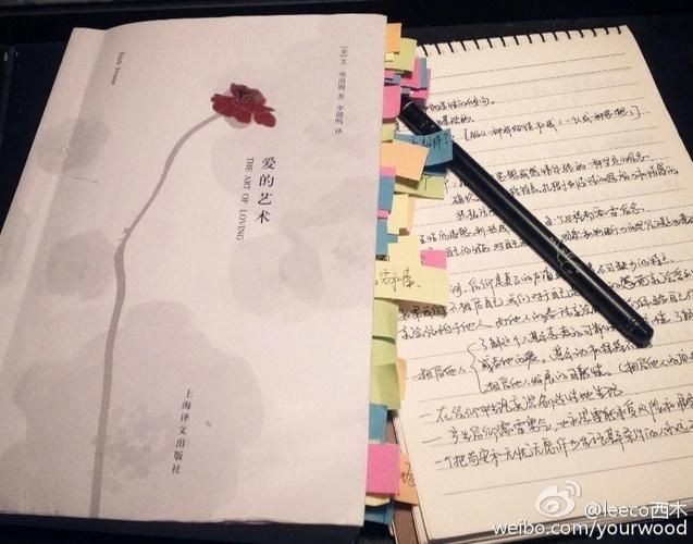 外交与爱的艺术怎么下载 详细步骤图文解析