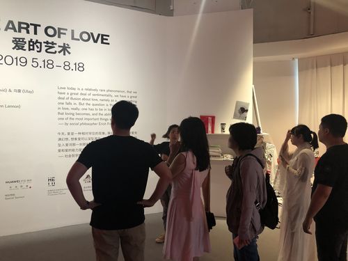 外交与爱的艺术怎么下载 详细步骤图文解析