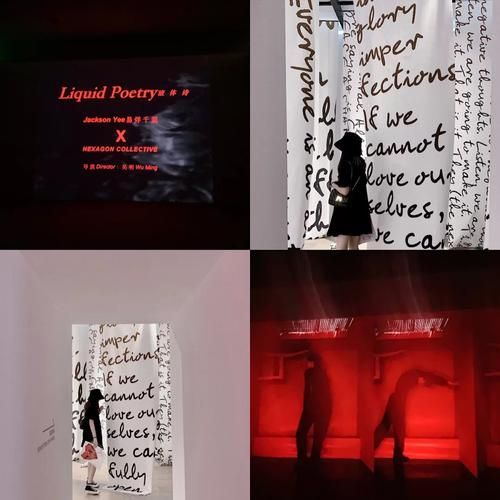 外交与爱的艺术更新地址在哪里一文告诉你答案