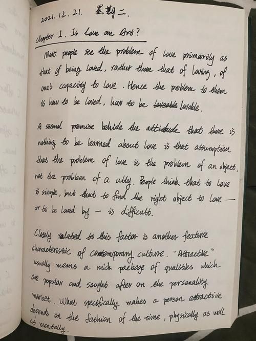外交与爱的艺术汉化版下载中文版获取方法