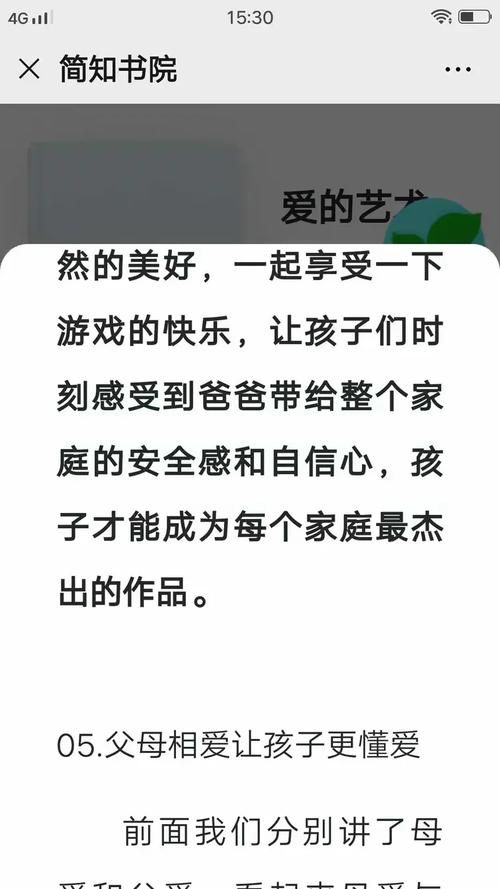 外交与爱的艺术游戏官网剧情解析与结局